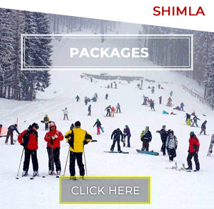 Shimla Tour Packages