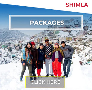 Shimla Winter Tour