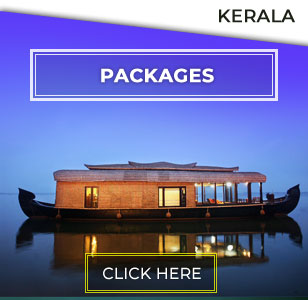 Kerala Tour Packages