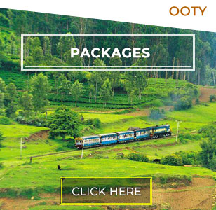 Ooty Tour Package 