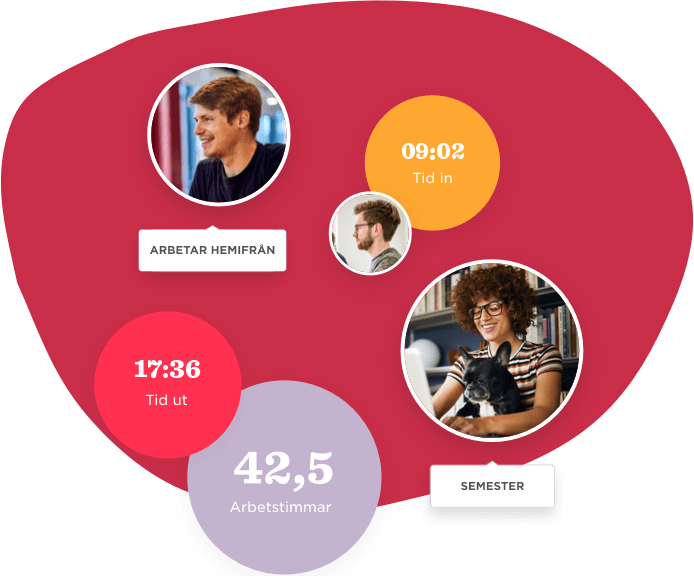 Homepage - Hibob_Landingpage_SE_06.png