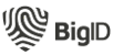 Contact page - bigID.png