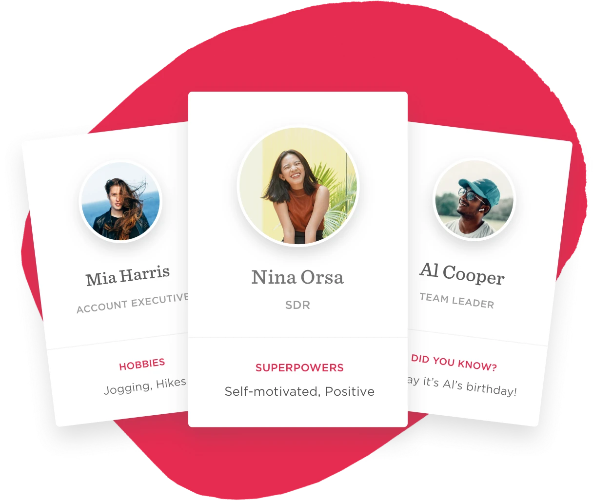 Mia Harris, Nina Orsa, and Al Cooper's profiles highlight roles, hobbies, and fun facts., Team profiles with images, roles, and hobbies showcased.