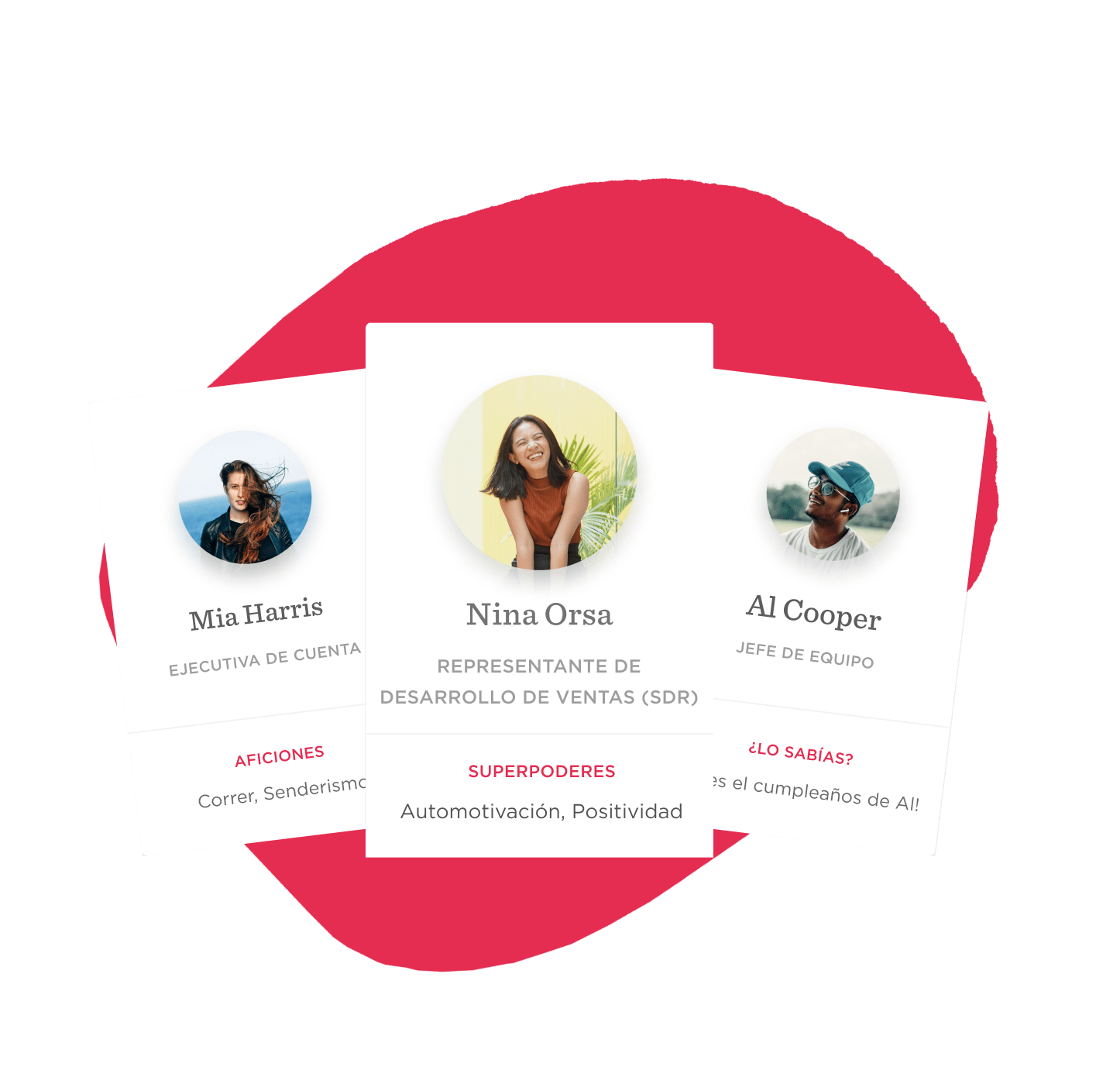 profile-cards, team-members