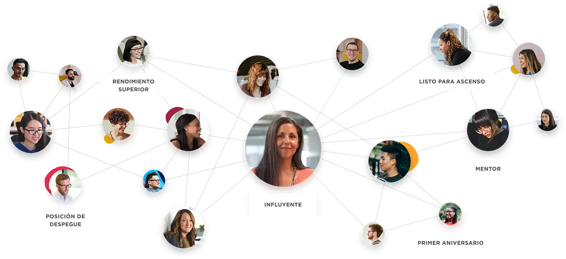 influencer, team-connection-visualization