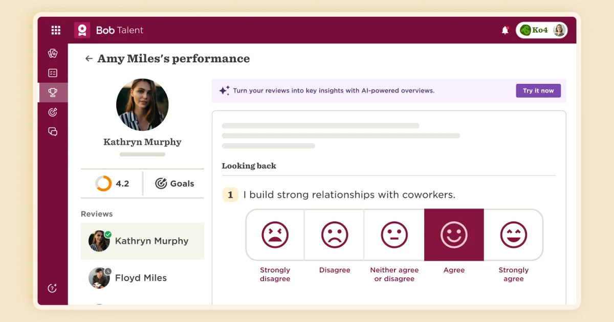 Imagery of how to measure performance using HiBob