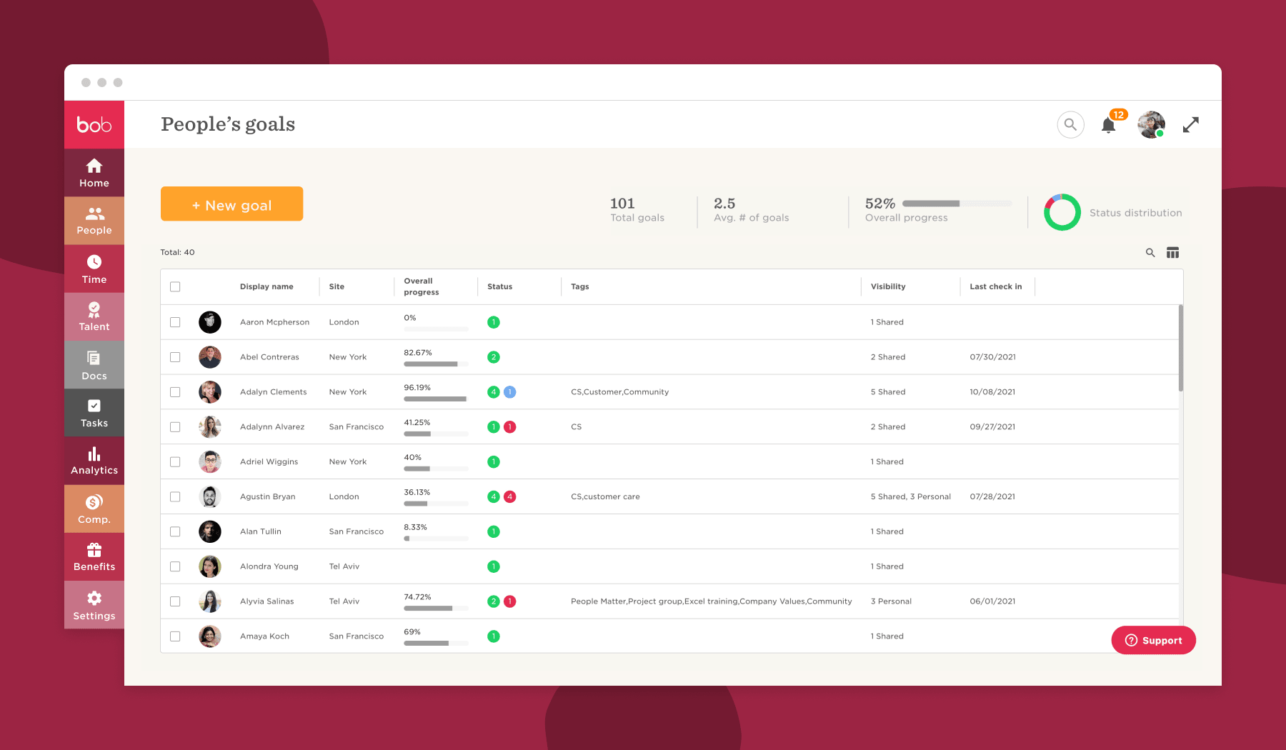 people's goals dashboard, overall progress and status of team members with tags and visibility details