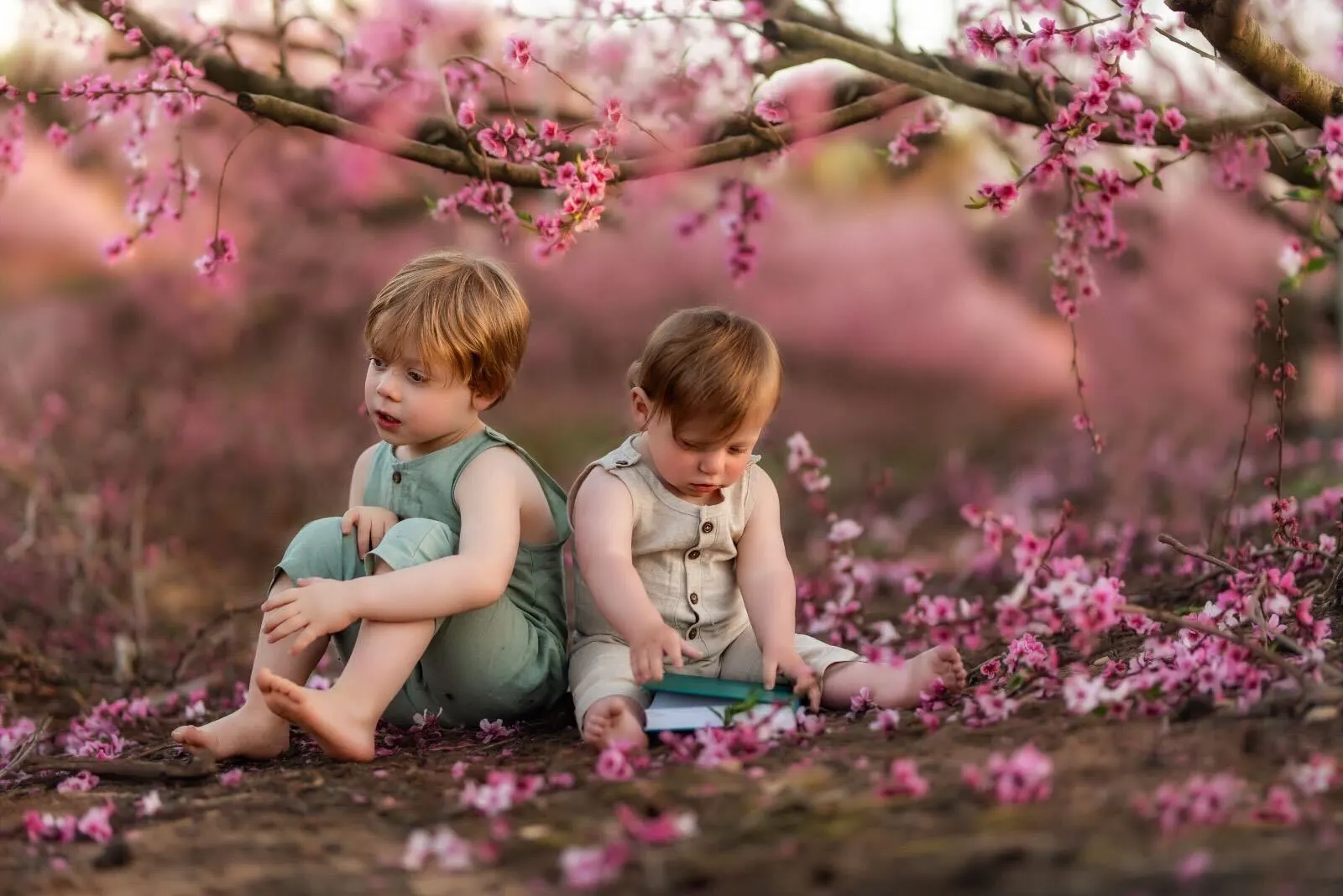 children, blossoming_pink_flower_tree