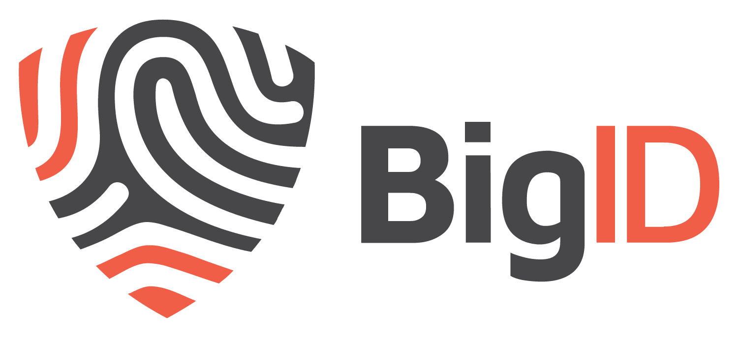 abstract pattern logo, BigID brand identity design