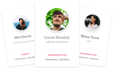 profile cards, team members, hobbies and skills