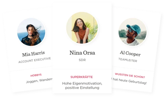 person profiles, team members with hobbies and superpowers