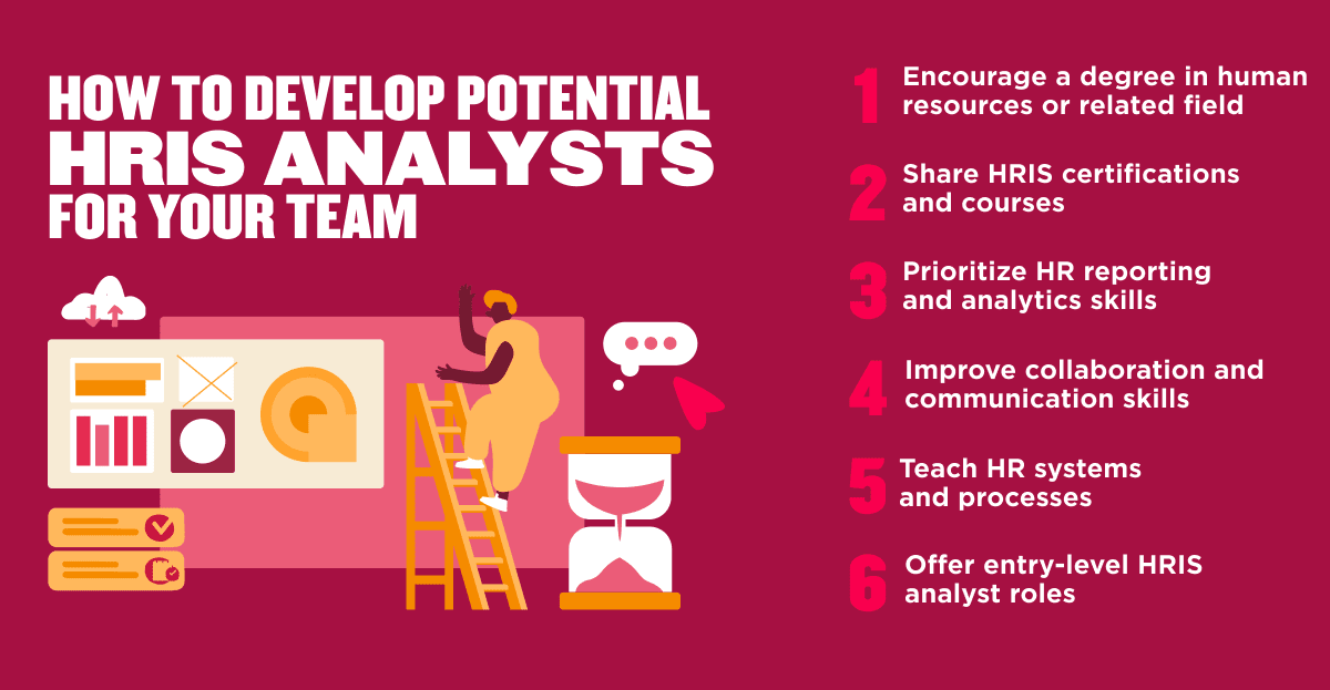 how-to-develop-hris-analysts, develop-hr-analysts-for-your-team