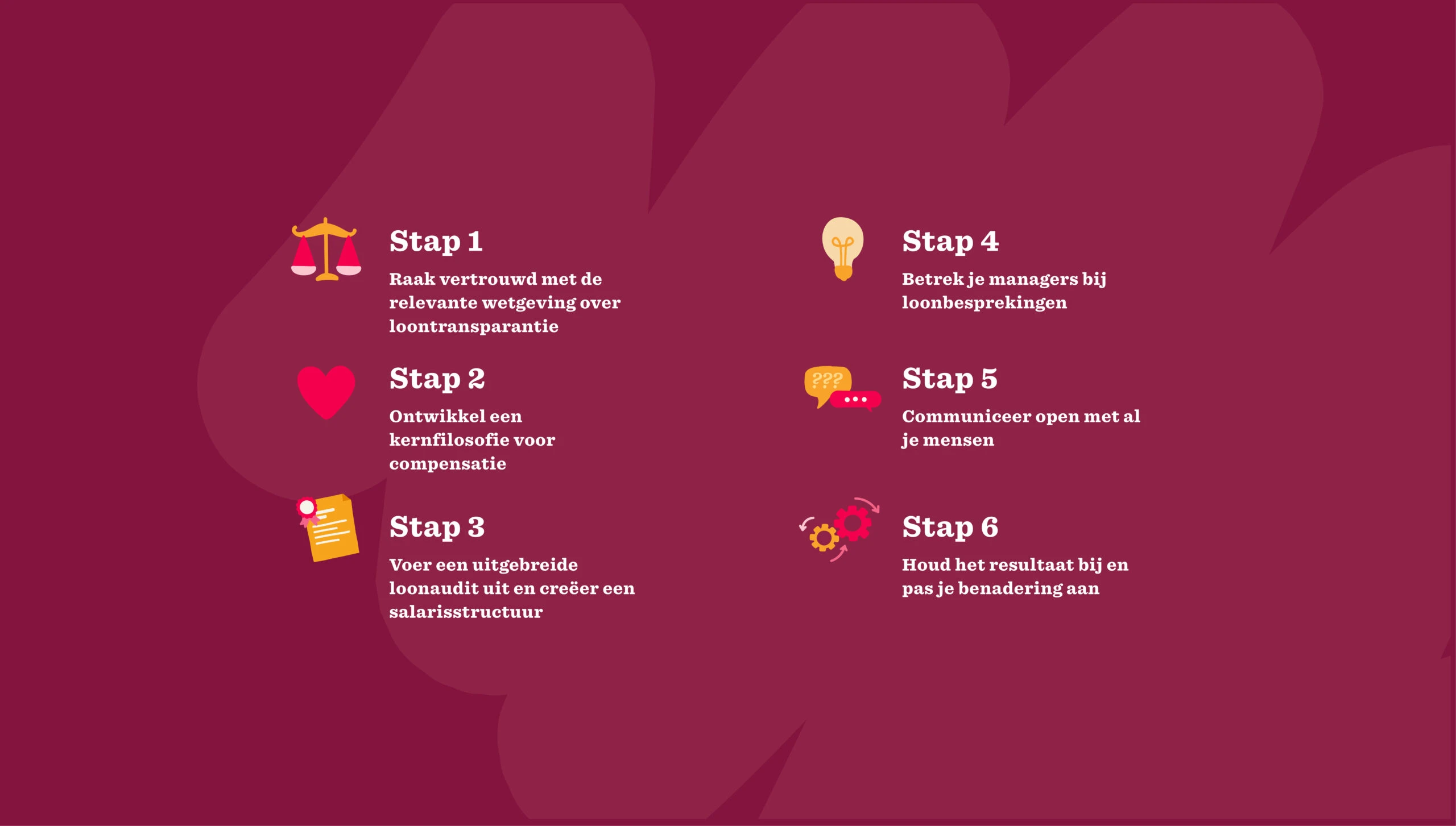 stappenplan, loontransparantie, visuele-structuur