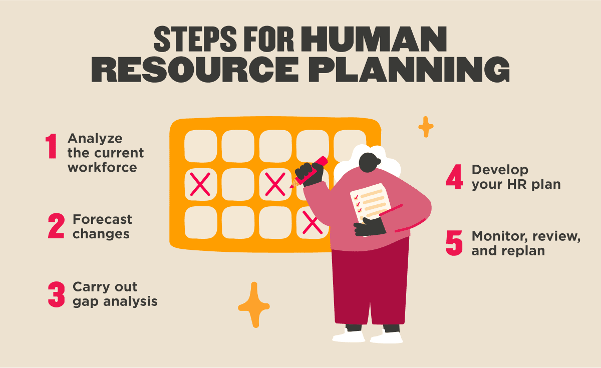 steps for human resource planning, HR management process infographic