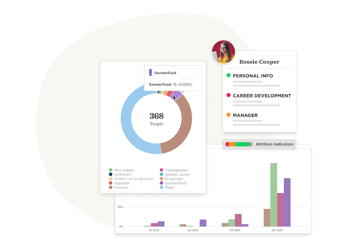 gender diversity chart statistics, career indicator summary and personal info overview
