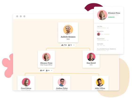 organization-chart, team-structure