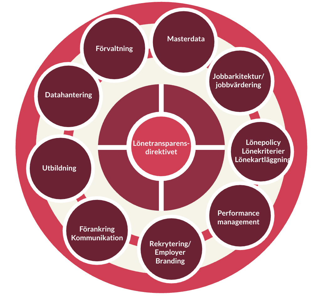 Lönet transparency directive diagram with eight key components including management, data handling, and training., Lönettransparens, diagram