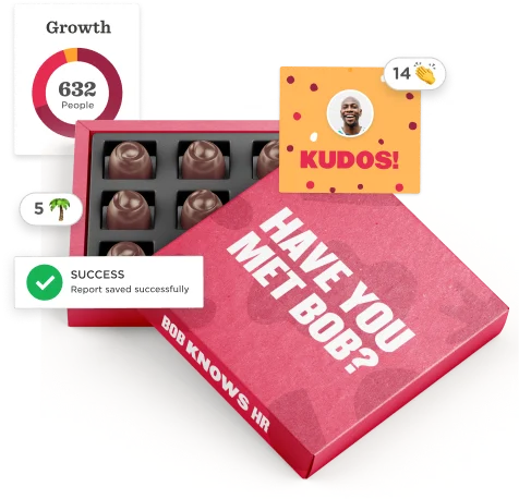 chocolate box with messages and stats, growth metrics and success indicators in a bright, engaging layout