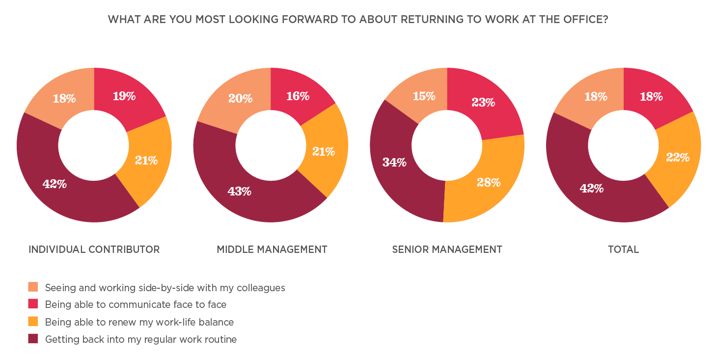 individual contributor, middle management, senior management, total workplace preferences pie charts