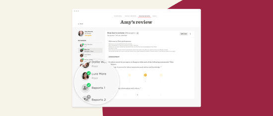amys-review, performance-assessment