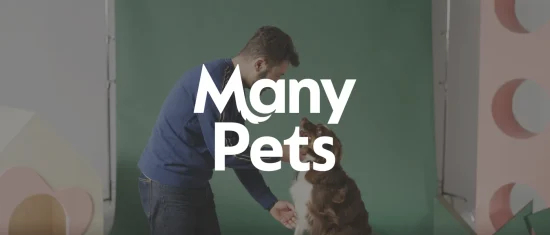 ManyPets, person interacting with a dog in a colorful studio setting with a green backdrop and playful shapes.