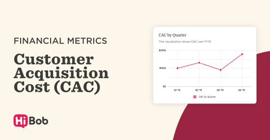 Financial metrics graph showing Customer Acquisition Cost (CAC) trends for FY19 in pink and grey tones. HiBob branding. financial metrics, customer acquisition cost