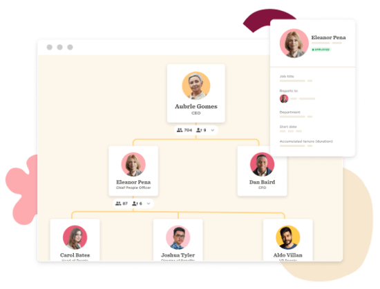 organization-chart, team-structure
