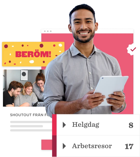 Long WAD | HR System | Sweden | Swedish - HR-system-2_SV.png