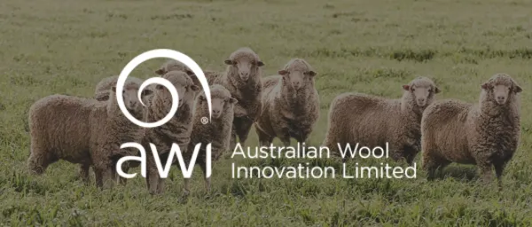 sheep, Australian Wool Innovation Limited logo