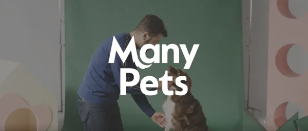 ManyPets, person interacting with a dog in a colorful studio setting with a green backdrop and playful shapes.
