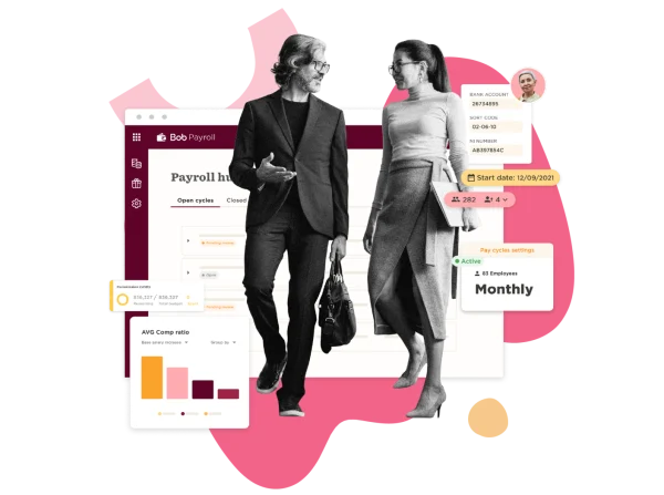 business-professionals, payroll-software-interface