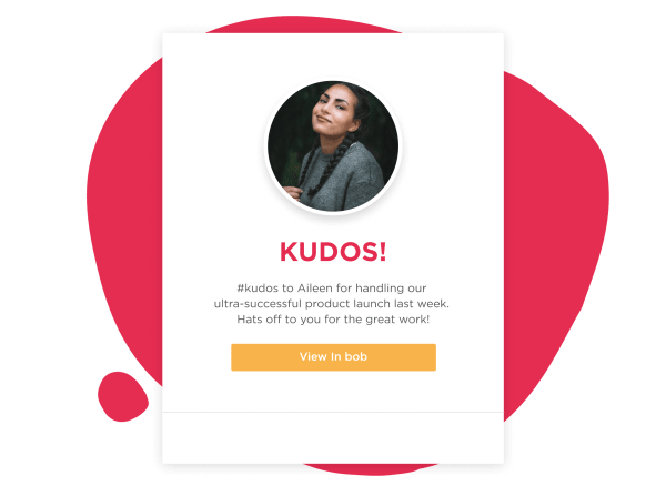 kudos, product_launch_success