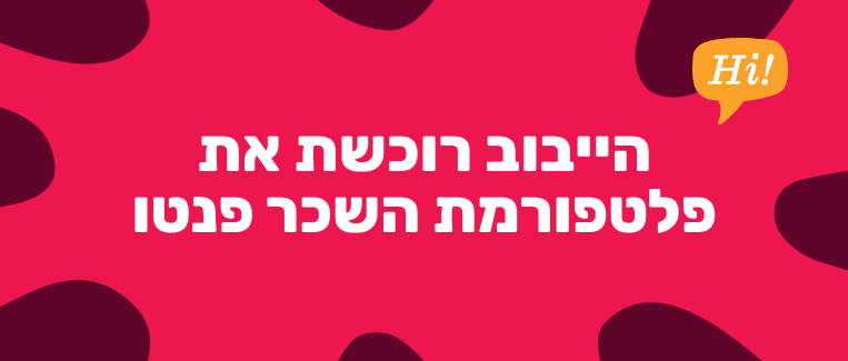 היי בוב