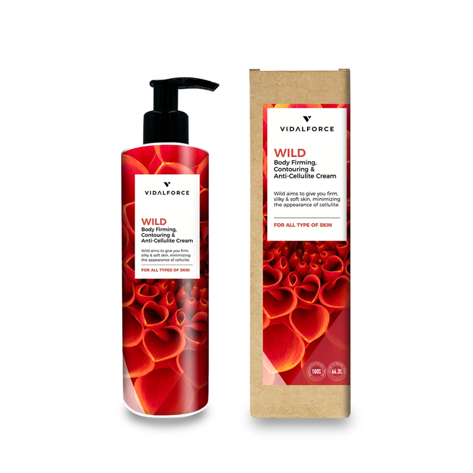 Vidalforce Box Detail