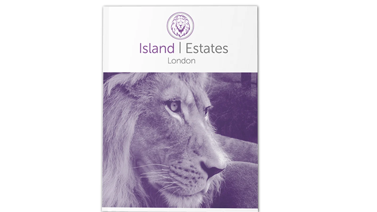 Island Estates Branding