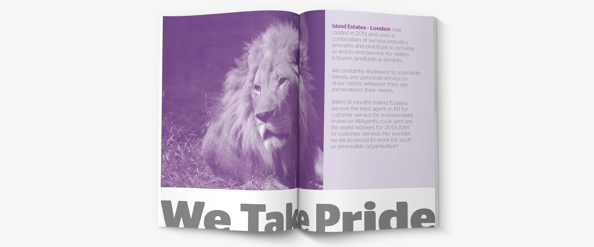 Island Estates Brand Mood