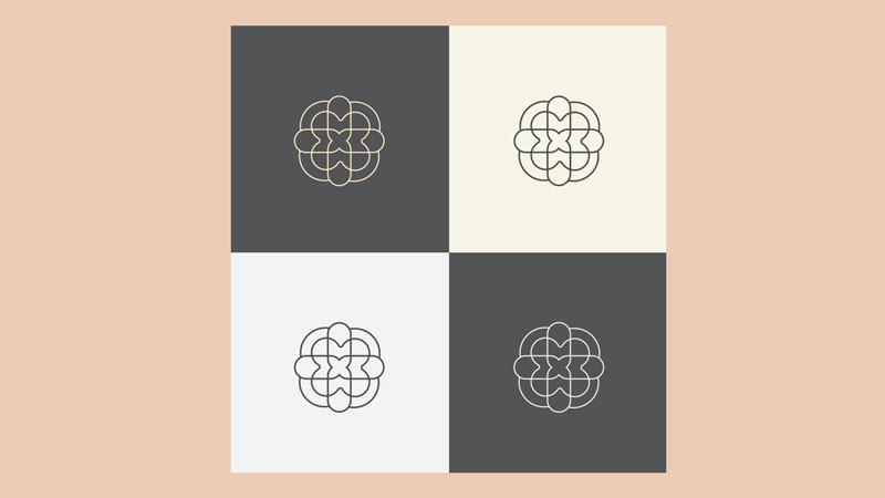 The Fresh Kid — Colour and Texture System