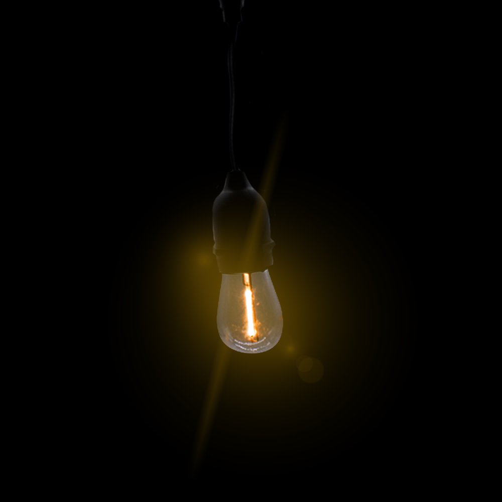 Serie con focos de Bombilla Cálida 24 focos, Luz Cálida cable Negro 1680cm