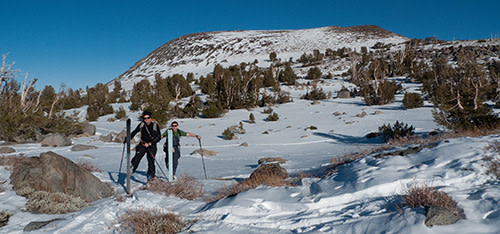Backcountry Backcountry run symbol