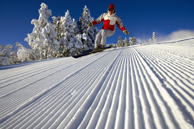 Groomer Groomer run symbol