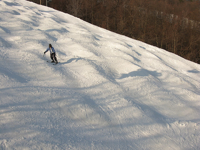 Mogul Mogul run symbol
