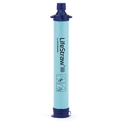 Straw filter