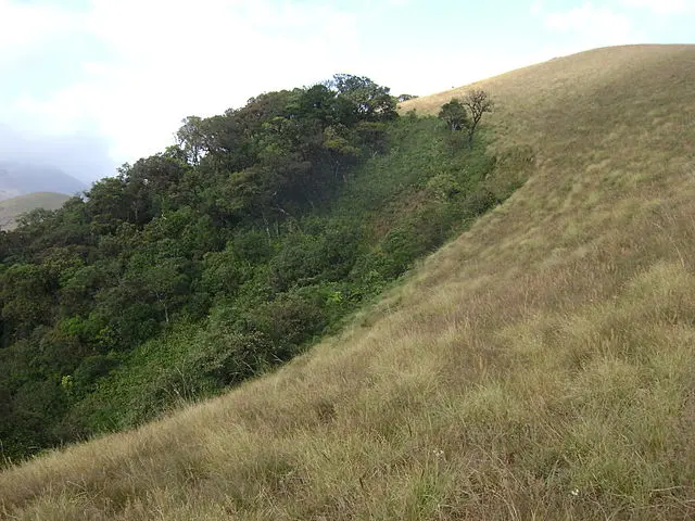 Topslip (Anamalai Tiger Reserve)