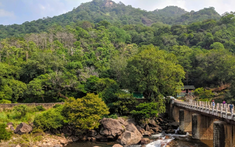 Kalakkadu Sanctuary