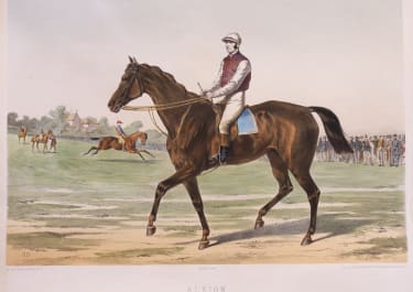 EXCEPTIONAL  ..STUNNING LITHOGRAPH OF THE RACE HORSE 'ALBION' RARE BY JOURDAN & BARBOT