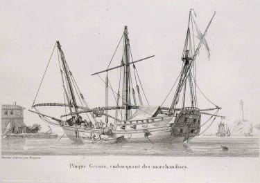 MARINE PINQUE GENOIS