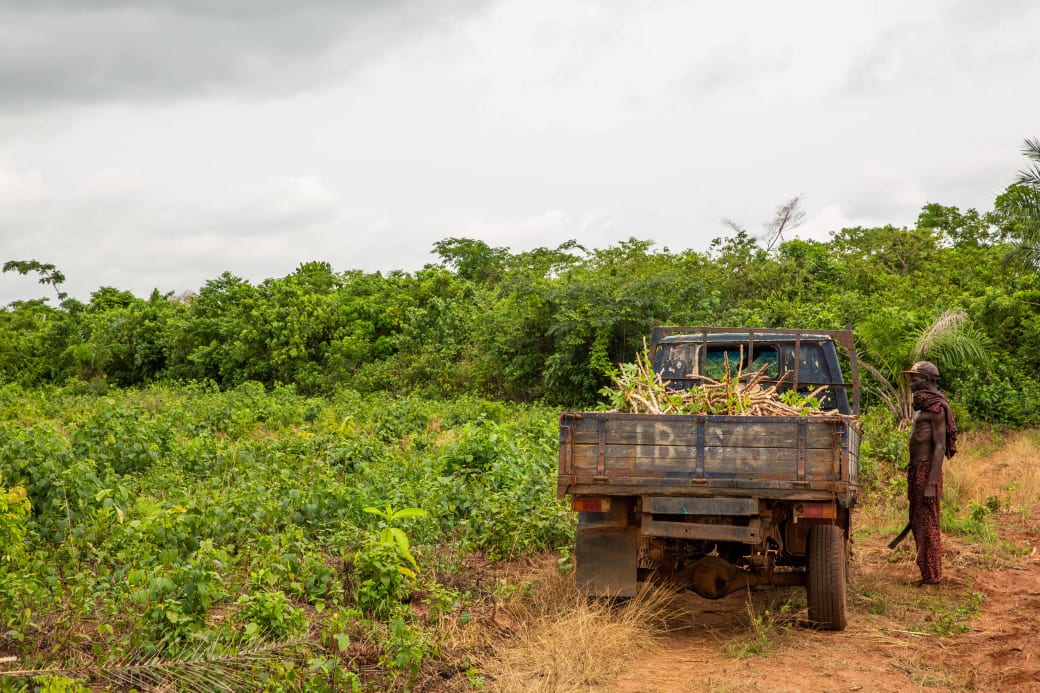 De oogst van Soneye Abolaji wordt opgehaald in Ogun State, Nigeria.