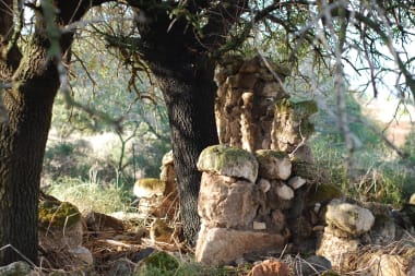 Fictie die het narratief van de overwinnaar uitdaagt