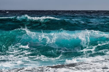Historisch oceaanverdrag: ‘Natuurbescherming heeft gewonnen’