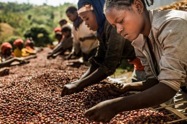 ‘Internationale solidariteit is geen nice-to-have’